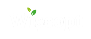 Wiseopt OÜ logo